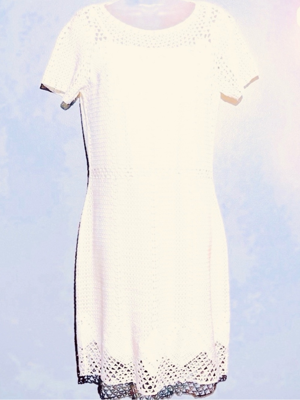 Lauren by Ralph Lauren Lace Dress with Slip. - Picture 2 of 7